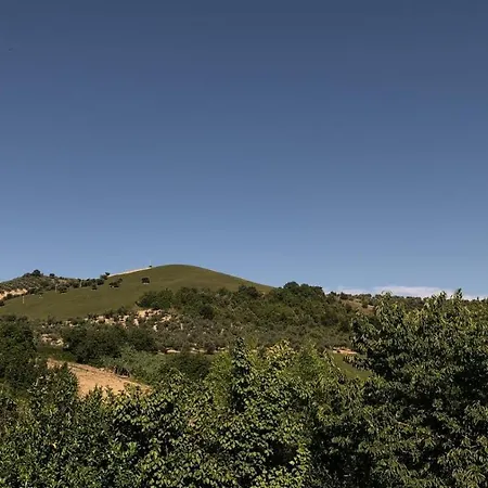 La Casinarosa Loreto Aprutino