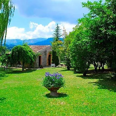 La Casinarosa