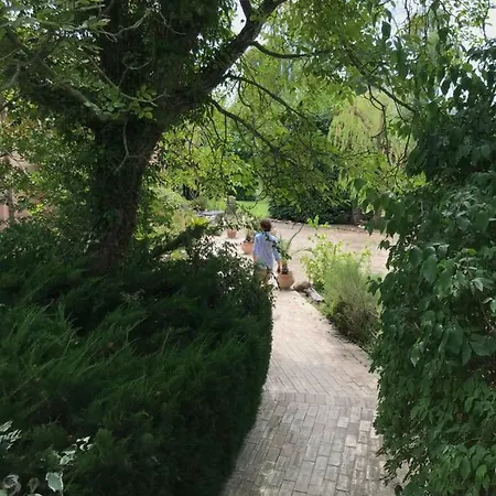 La Casinarosa * 洛雷托·阿普鲁蒂诺