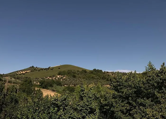 La Casinarosa Loreto Aprutino