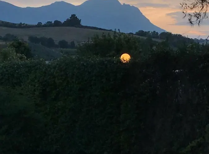 La Casinarosa Hotel *